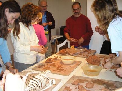 Programme de pathologie niveau 2 : 4 we